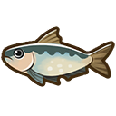 File:Sardine.png