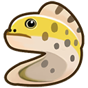 File:Yellow moray eel.png