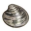 File:Quahog.png