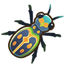 File:Tiger beetle.png