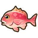 File:Pink snapper.png