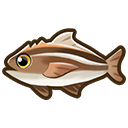 File:Cobia.png