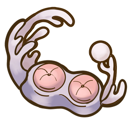 File:494Coral sofa.png