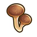 File:Sea mushroom.png