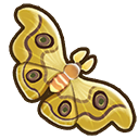 File:Assam silk moth.png