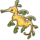 File:Leafy dragon sea.png
