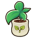 File:Jackfruit seedling.png