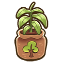 File:Peach sapling.png