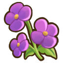 File:Violet.png