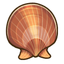 File:Patagonian scallop.png