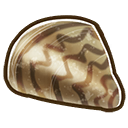 File:Zebra mussel.png