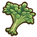 File:Watercress.png