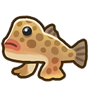 File:Polka-dot batfish.png