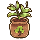 File:Apple sapling.png