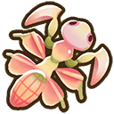 File:Orchid mantis.png