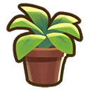 File:Small potted plant.png