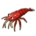 File:Cardinal shrimp.png