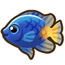 File:Damselfish.png