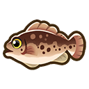 File:Grouper.png