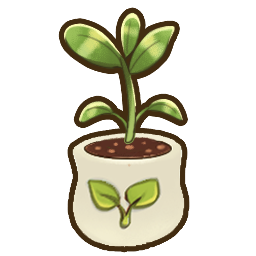 File:225Rambutan Seedling.png