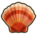 File:Mediterranean scallop.png