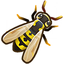 File:Wasp.png