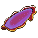 File:Fuschia flatworm.png