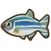 Zebra fish.png