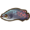 Arapaima.png