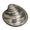 Quahog.png