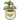 Avocado seedling.png