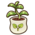Avocado seedling.png
