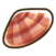 Sunray venus shell.png
