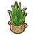 Small tropical plant.png