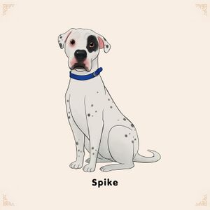 Adoptable Spike Dalmatian.jpg