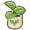 Lemon seedling.png