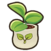 Lemon seedling.png
