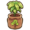 Mango sapling.png