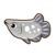 Silver arowana.png