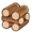 Mushroom log.png