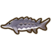 Sturgeon.png