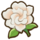 Gardenia.png