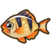 Tiger barb.png