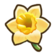339Daffodil.png