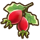362Rose Hips.png