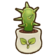 132DragonFruit Seedling.png