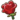 Rose.png