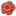 36Rafflesia.png