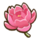 Peony.png
