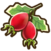 Rose hip.png